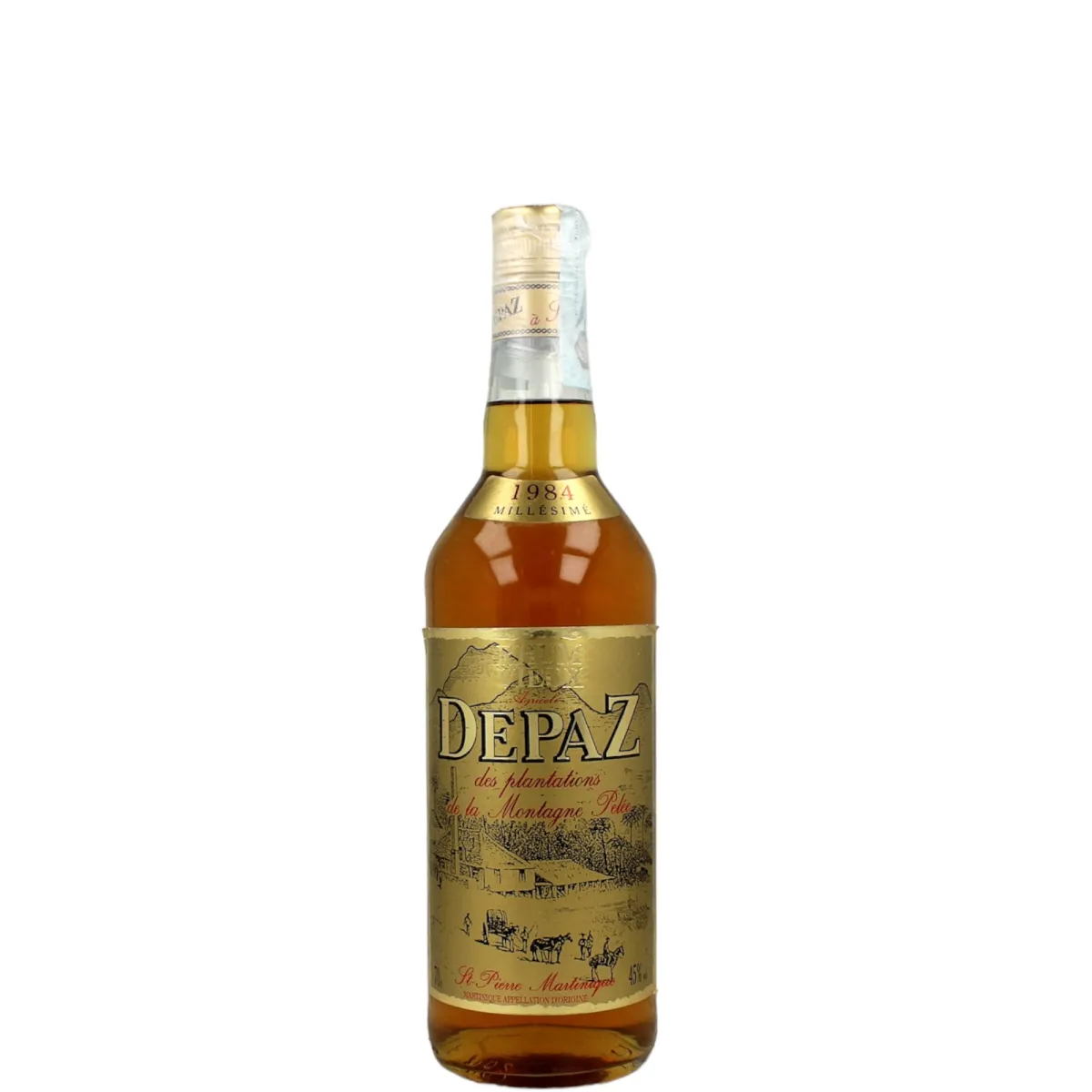 Depaz 1984