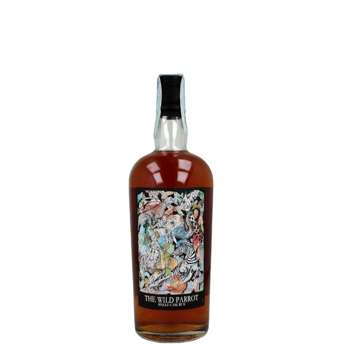 Savanna Wild Parrot 2007 11YO