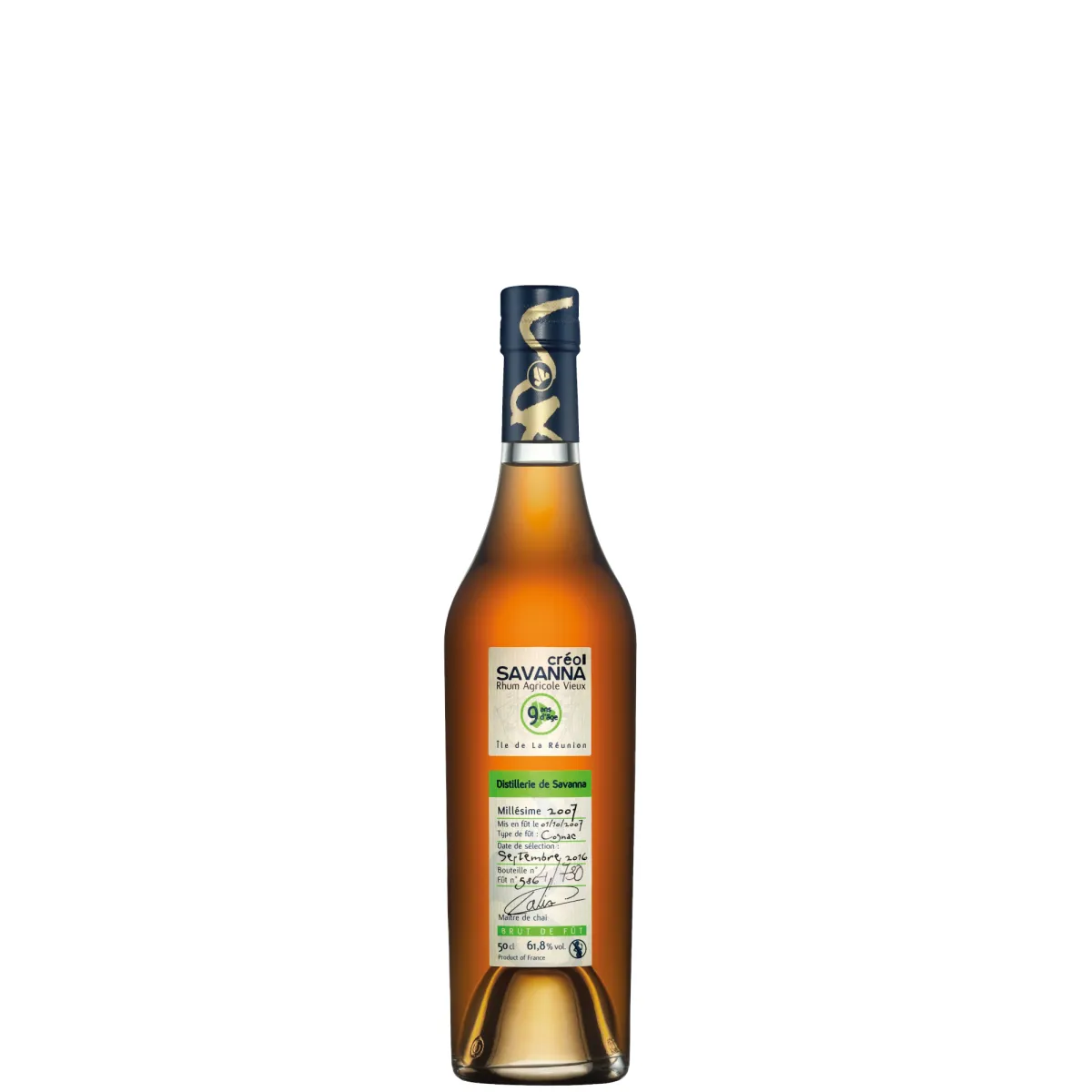 Savanna Creol 2007 9YO