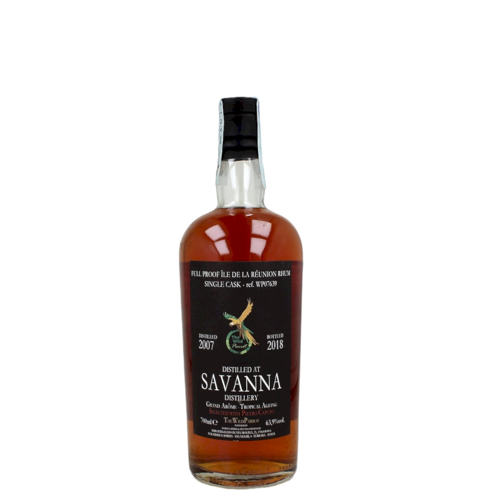 Savanna Wild Parrot 2007 11YO