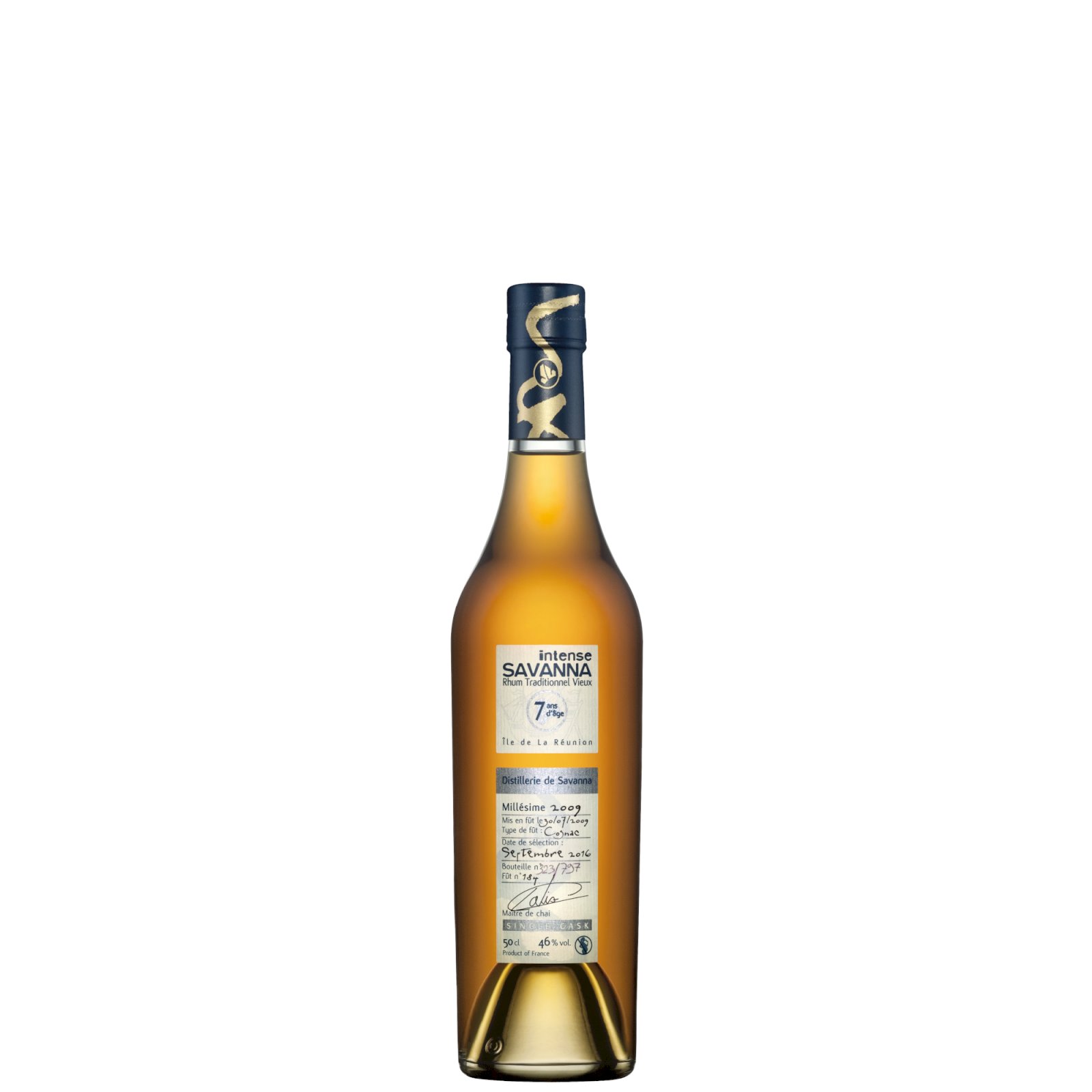 Savanna Intense 2009 7YO