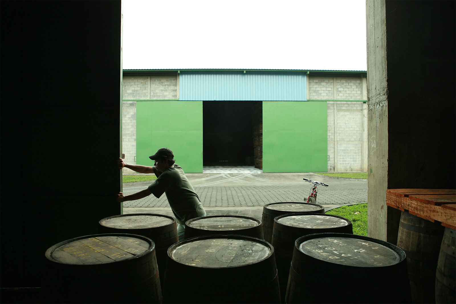Flor de Cana