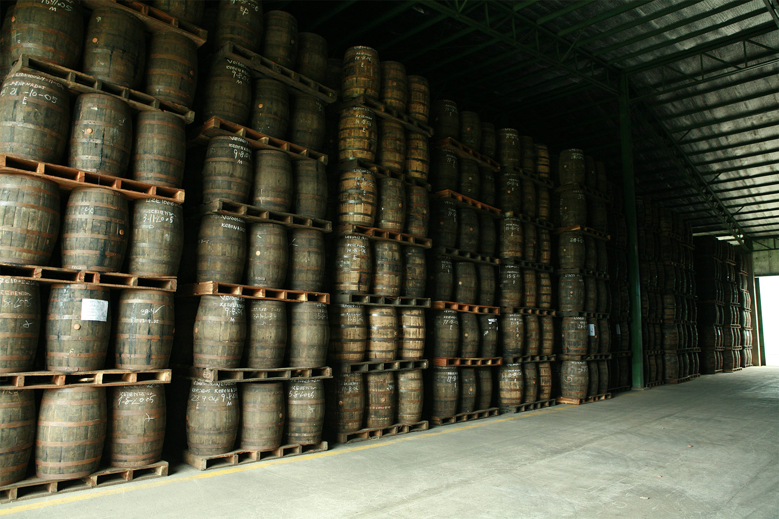 Flor de Cana
