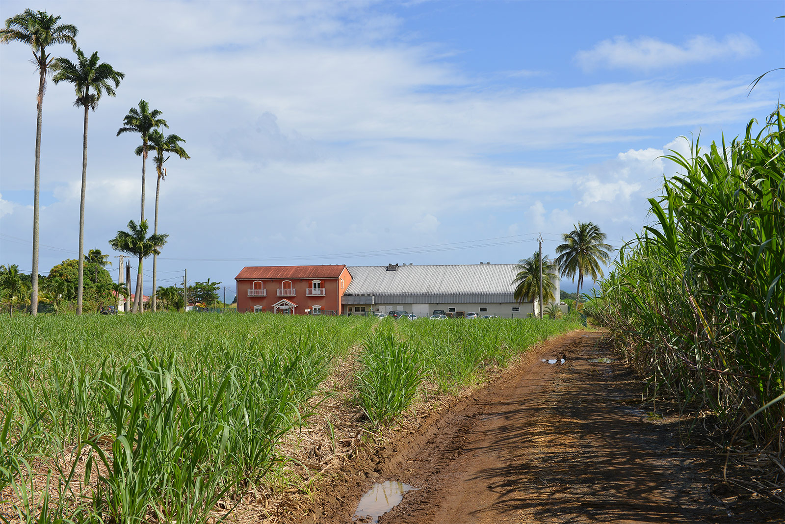 Karukera